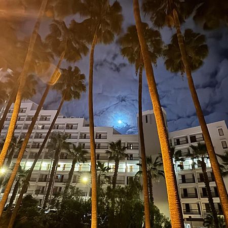 Playa Feñabe Vina Del Mar 아파트 외부 사진